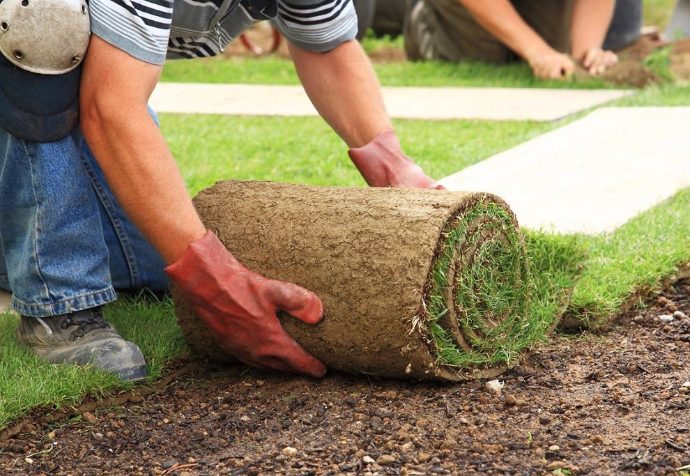 Jardinería